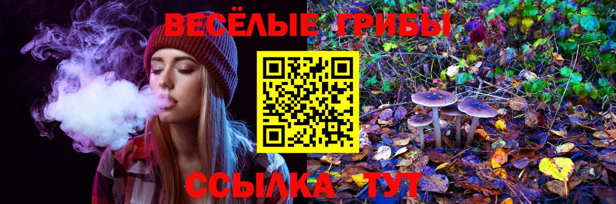 Псилоцибиновые грибы прущие грибы  Вход с VPN  Галлюциногенные грибы ЛСД  Строитель 